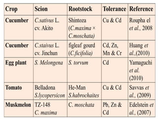 Impact Of Heavy Metals In Vegetable Crops | PPTX