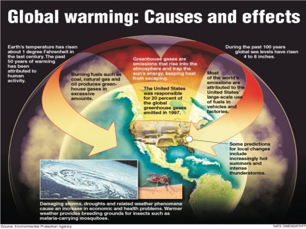 impacts of human activities