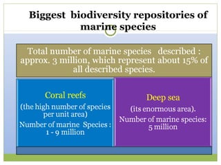 Biggest biodiversity repositories of
          marine species
 