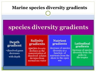 Marine species diversity gradients
 