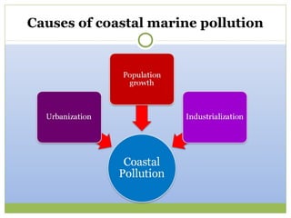 Causes of coastal marine pollution
 