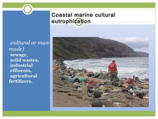 Coastal marine cultural
                    eutrophication



 cultural or man-
•(

made)
•sewage,
•solid wastes,
•industr...