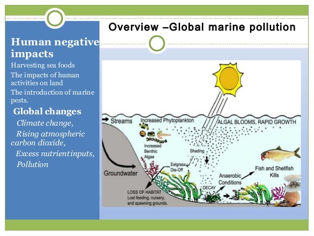 impacts of human activities