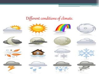 Human Weather Impact of human activities on weather and climate | PPTX