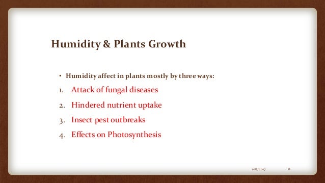 Impact Of Humidity On Plant Growth