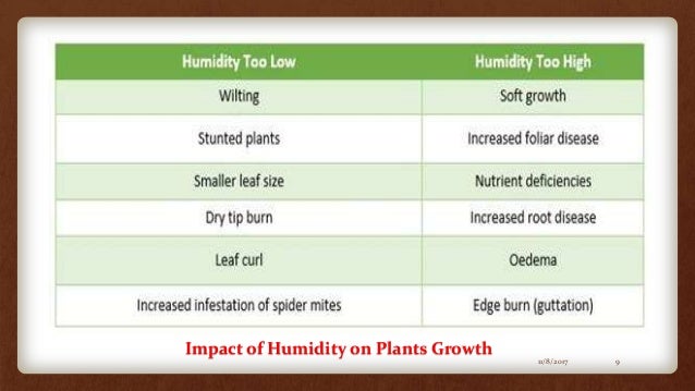Impact Of Humidity On Plant Growth