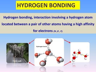Impact of Hydrogen Bond in Nature.pptx