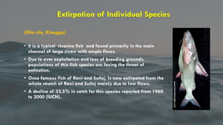 Impact of hydropower projects and of the division of waters between ...