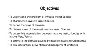 Impact of invasive insects on urban area | PPTX