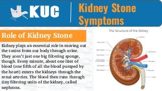 Kidney Stone
Symptoms
Role of Kidney Stone
Kidney plays an essential role in moving out
the toxins from our body through urine.
They aren’t just one big filtering sponge,
though. Every minute, about one liter of
blood (one fifth of all the blood pumped by
the heart) enters the kidneys through the
renal arteries. The blood then runs through
tiny filtering units of the kidney, called
nephrons.
 