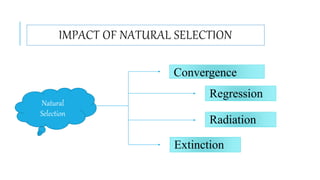 Impact of Natural Selection .pptx