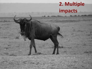 Impact of neglected diseases on animal productivity and public health in Africa