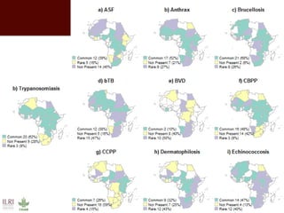 Impact of neglected diseases on animal productivity and public health in Africa