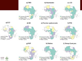 Impact of neglected diseases on animal productivity and public health in Africa