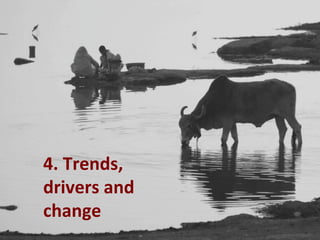 Impact of neglected diseases on animal productivity and public health in Africa