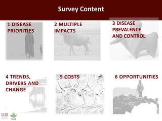 Impact of neglected diseases on animal productivity and public health in Africa