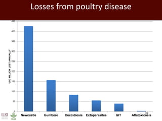 Impact of neglected diseases on animal productivity and public health in Africa