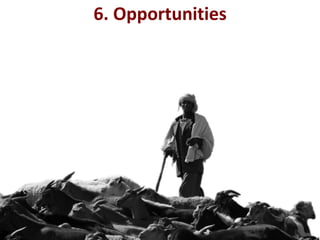 Impact of neglected diseases on animal productivity and public health in Africa