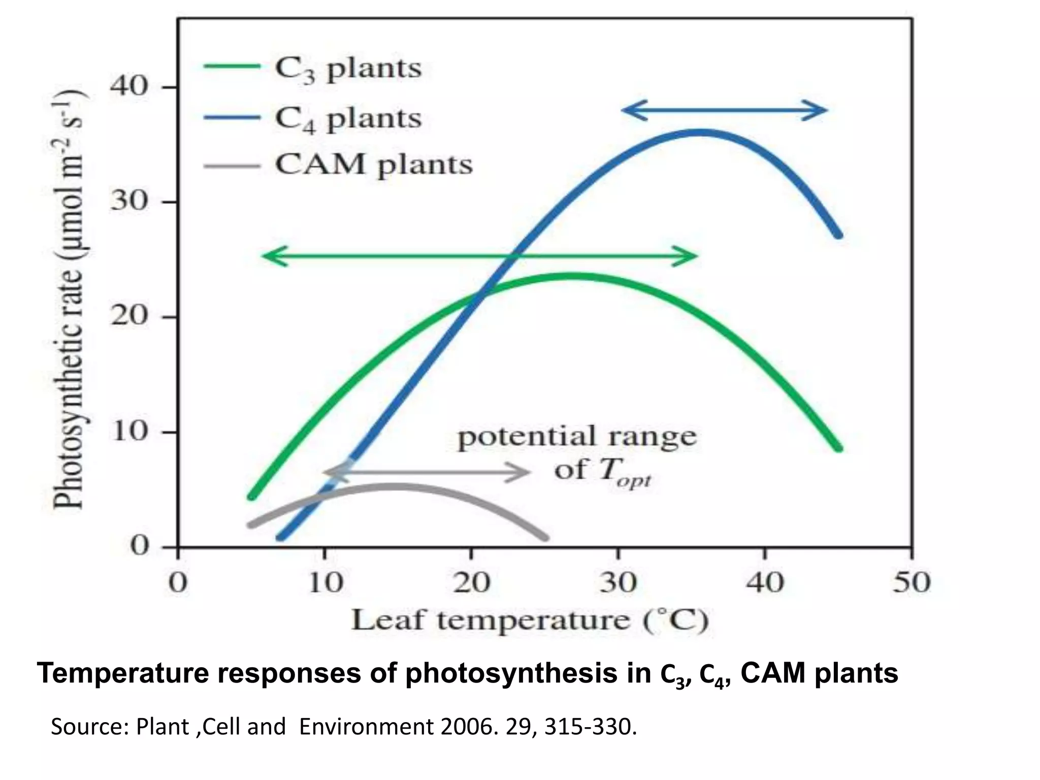 Source: Plant ,Cell and Environment 2006. 29, 315-330.
Temperature responses of photosynthesis in C3, C4, CAM plants
 