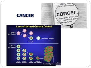 Impact of radiation pollution on human health siri | PPT