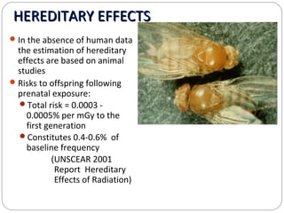 Impact of radiation pollution on human health siri | PPT