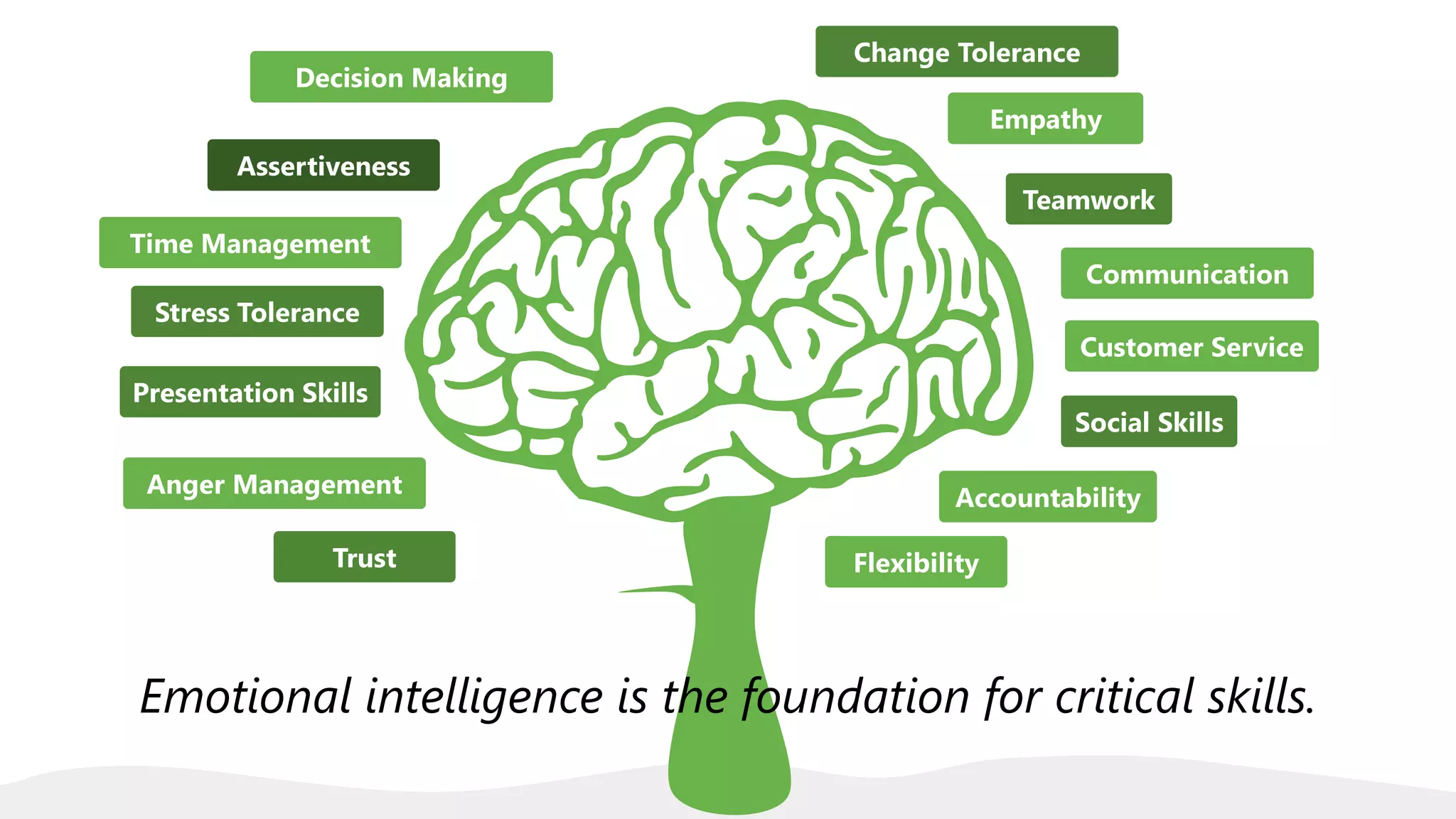Trust
Anger Management
Stress Tolerance
Time Management
Empathy
Decision Making
Change Tolerance
Communication
Customer Service
Flexibility
Assertiveness
Teamwork
Accountability
Social Skills
Presentation Skills
Emotional intelligence is the foundation for critical skills.
 