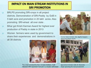 IMPACT ON MAIN STREAM INSTITUTIONS IN
SRI PROMOTION
 BRLPS promoting SRI-crops in all project
districts. Demonstration of...