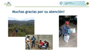 Impacto de las intervenciones agricolas y de salud para reducir la deficiencia de hierro en zonas rurales de Guatemala