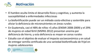 Impacto de las intervenciones agricolas y de salud para reducir la deficiencia de hierro en zonas rurales de Guatemala