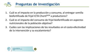 Impacto de las intervenciones agricolas y de salud para reducir la deficiencia de hierro en zonas rurales de Guatemala