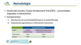 Impacto de las intervenciones agricolas y de salud para reducir la deficiencia de hierro en zonas rurales de Guatemala