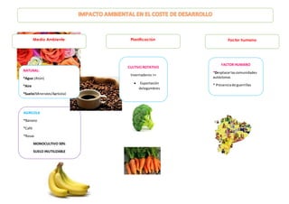 AGRICOLA
*Banano
*Café
*Rosas
MONOCULTIVO 50%
SUELO INUTILIZABLE
Medio Ambiente Planificación Factor humano
NATURAL:
*Agua...