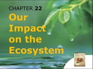CHAPTER 22
Our
Impact
on the
Ecosystem
 