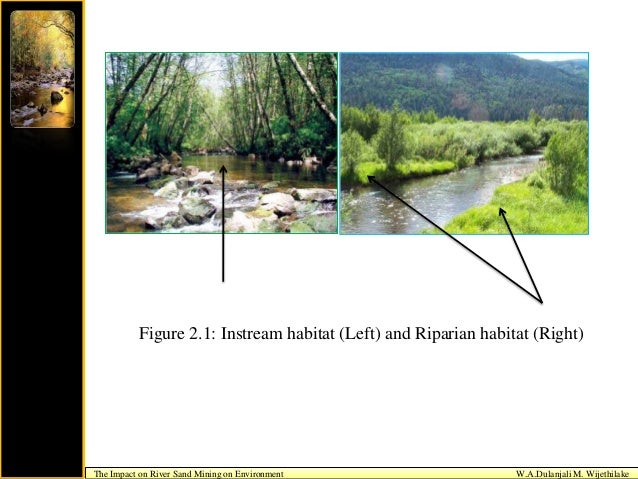 impact on environment by mining essay Essay on the impact of human essay on the impact of human activities on environment the commercial and industrial activities associated with mining. impact on environment by mining essay Essay on the impact of human essay on the impact of human activities on environment the commercial and industrial activities associated with mining.