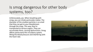 Impact on smog and air pollution | PPTX