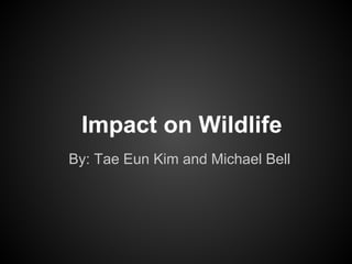 Impact on Wildlife
By: Tae Eun Kim and Michael Bell
 