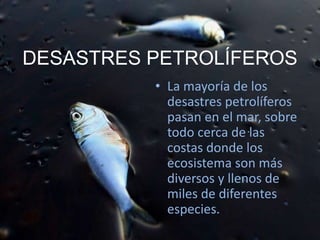 DESASTRES PETROLÍFEROS
• La mayoría de los
desastres petrolíferos
pasan en el mar, sobre
todo cerca de las
costas donde los
ecosistema son más
diversos y llenos de
miles de diferentes
especies.
 