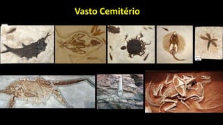 Vasto Cemitério
 