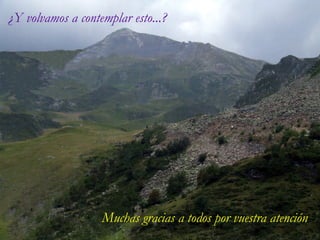 ¿Y volvamos a contemplar esto...? Muchas gracias a todos por vuestra atención 