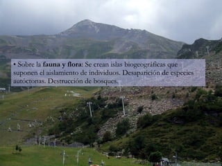 Sobre la  fauna y flora : Se crean islas biogeográficas que suponen el aislamiento de individuos. Desaparición de especies autóctonas. Destrucción de bosques. 