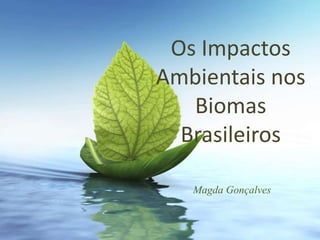 Os Impactos
Ambientais nos
   Biomas
  Brasileiros

   Magda Gonçalves
 