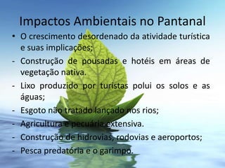 Impactos Ambientais no Pantanal
• O crescimento desordenado da atividade turística
  e suas implicações;
- Construção de pousadas e hotéis em áreas de
  vegetação nativa.
- Lixo produzido por turistas polui os solos e as
  águas;
- Esgoto não tratado lançado nos rios;
- Agricultura e pecuária extensiva.
- Construção de hidrovias, rodovias e aeroportos;
- Pesca predatória e o garimpo.
 