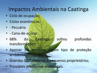 Impactos Ambientais na Caatinga
• Ciclo de ocupação;
• Ciclos econômicos :
• - Pecuária
• - Cana-de-açúcar
• 68%      da     Caatinga    sofreu    profundas
  transformações;
• Apenas 3% recebem algum tipo de proteção
  ambiental;
• Grandes latifundiários e pequenos proprietários;
• Principais problemas ambientais.
 