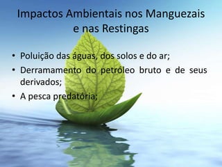 Impactos Ambientais nos Manguezais
           e nas Restingas

• Poluição das águas, dos solos e do ar;
• Derramamento do petróleo bruto e de seus
  derivados;
• A pesca predatória;
 