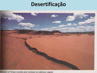 Desertificação
 