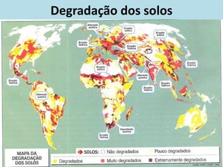 Degradação dos solos
 