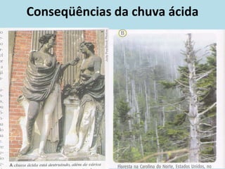 Conseqüências da chuva ácida
 