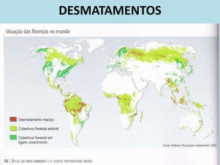 DESMATAMENTOS
 