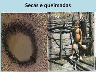 Secas e queimadas
 
