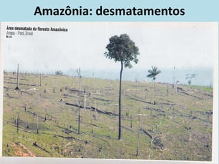 Amazônia: desmatamentos
 